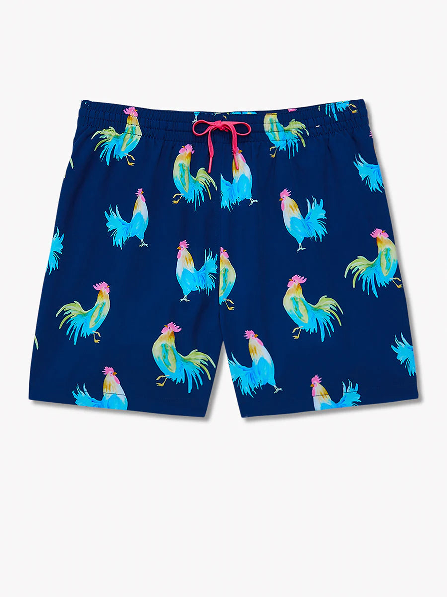 Les oiseaux jouent
