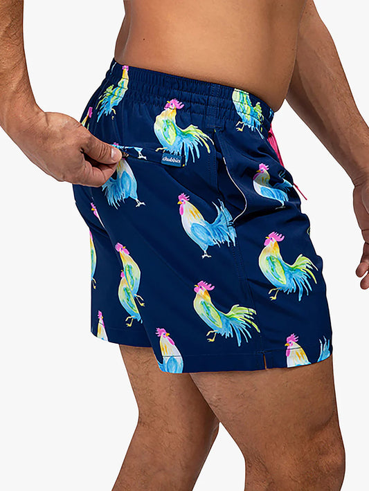 Les oiseaux jouent