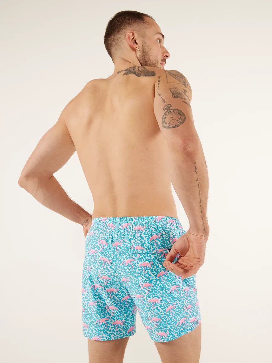 The Domingos Are For Flamingos