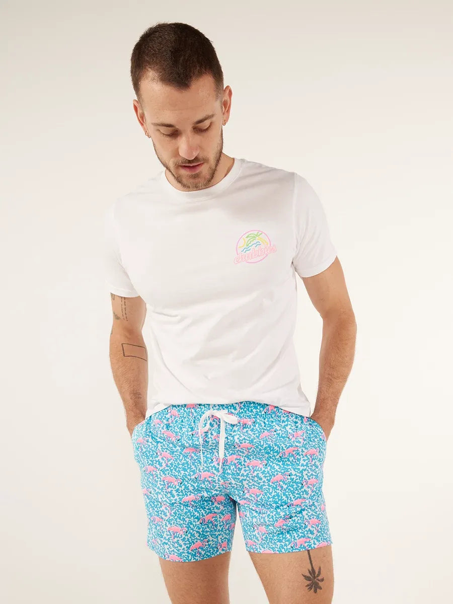 The Domingos Are For Flamingos